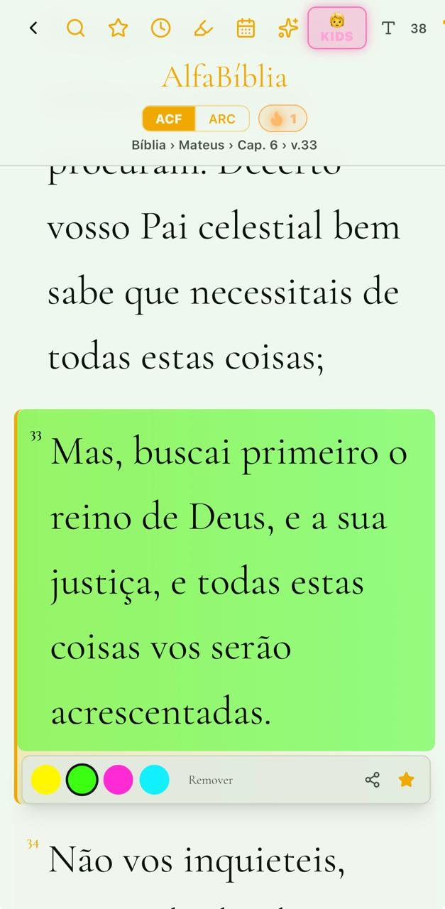 Marcação Neon (Claro) — Destaque versículos com 4 cores vibrantes — amarelo, verde, rosa e ciano.